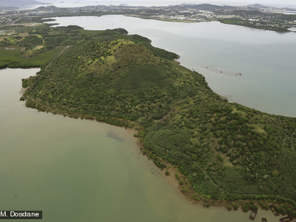 Forêt sèche du Pic aux Chèvres