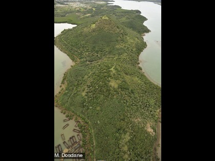 Forêt sèche du Pic aux Chèvres