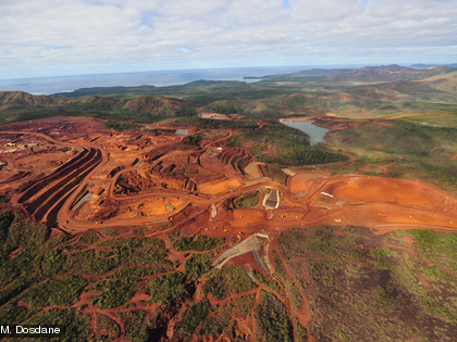 Construction de l'Usine Vale Nouvelle-Calédonie Parce qu’il pousse sur des sols riches en nickel, le maquis minier est menacé par les activités minières susceptibles de se développer dans ces zones.