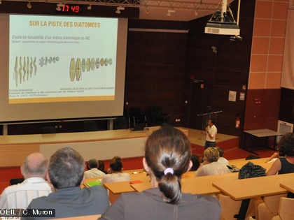 Sensibles aux perturbations, les diatomées se déforment en cas de pollutions organiques