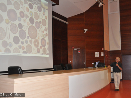 Il existe une grande variété de diatomées de taille et de forme très différentes