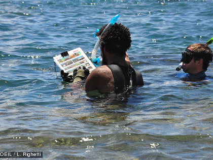 Glenn repère sur sa fiche l'espèce observée, puis l'inscrit sur sa feuille de résultats