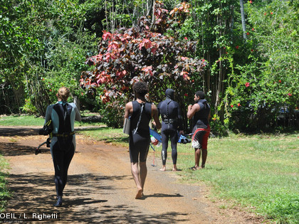 Equipés, les observateurs se dirigent vers le récif pour un exercice en conditions réelles