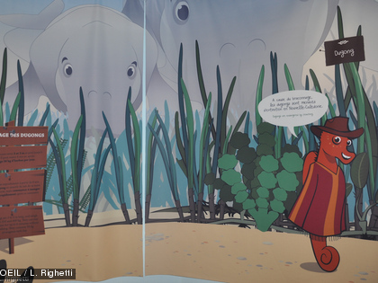 ... et des dugongs.