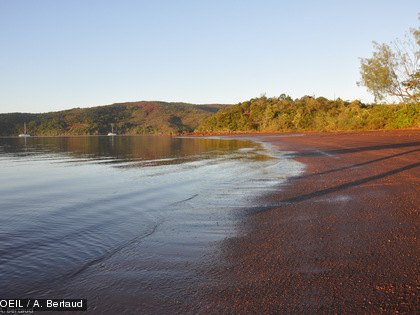 Samedi 2 août, baie de la Somme : départ pour l'île Ouen.