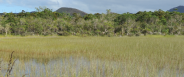 [Sud 2020] Dolines & eaux souterraines